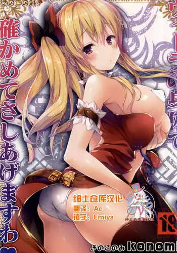 (C88) [KINOKONOMI (konomi)] Vila no Karada de Tashikamete sashiagemasuwa (Granblue Fantasy) [Chinese] [??????]