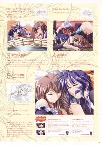 Natural 2 Duo Visual Fan Book