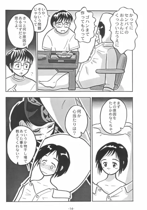 Futon SUPER GUTS SHINOBU