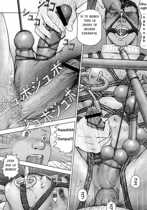 Kai Makoto Training Dog