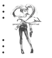 [Ruri Ruri] Super Barning Fire File (Martian Successor Nadecico)