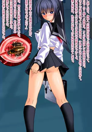 Demon Exorcising Meat Toilet Mikoto