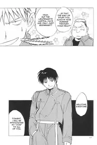 (C65) [Toko-ya (HEIZO, Kitoen)] Taisatyui (Fullmetal Alchemist) [English] =LWB=