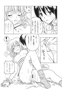 [DAIZU AZUKI (Chomoyama)] FAMILY AFFAIR (Ragnarok Online)