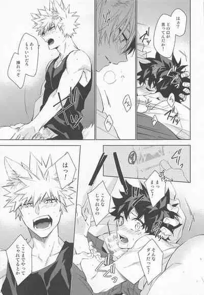 Pet-sama no Iu toori +