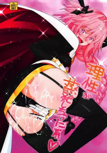 (C92) [Sanazura Doujinshi Hakkoujo (sanazura Hiroyuki)] Risei ga Jouhatsu Shichatta Kei (Fate/Grand Order)