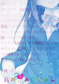 (COMIC1☆9) [TIES (Takei Ooki)] Watashi no, Onii-chan [Chinese] [脸肿汉化组]