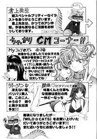 [Kobayashi Takumi] Wild Cats