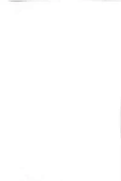 Matching Aite ga Fukusuu Play Kibou toka Kiite Nain desu ga.