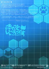 (Gunreibu Hamamatsu-chou Shuho) [Cat Expert (Nekousa)] Nekotama (Kantai Collection -KanColle-)