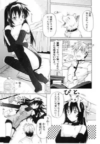 [Tsutsumi Akari] Daite Sasayaite