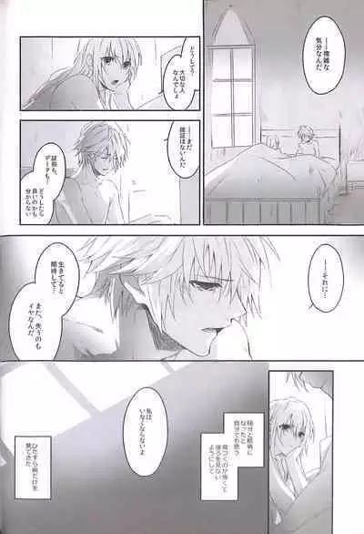 (C84) [CassiS (RIOKO)] HOPE (Final Fantasy XIII)