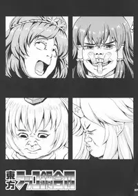 Touhou Rakko Nabe Goudou