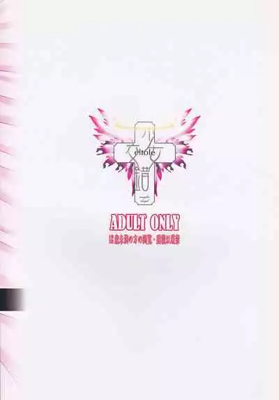 Ninpu Dorei no Shoukan Seikatsu