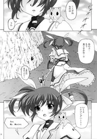 (COMIC1☆5) [Nejimaki Kougen (Kirisawa Tokito)] Capture Girl F (Mahou Shoujo Lyrical Nanoha)
