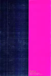 (C76) [Ochawan (Wakachiko)] Nettaiya (Buraiden Gai)