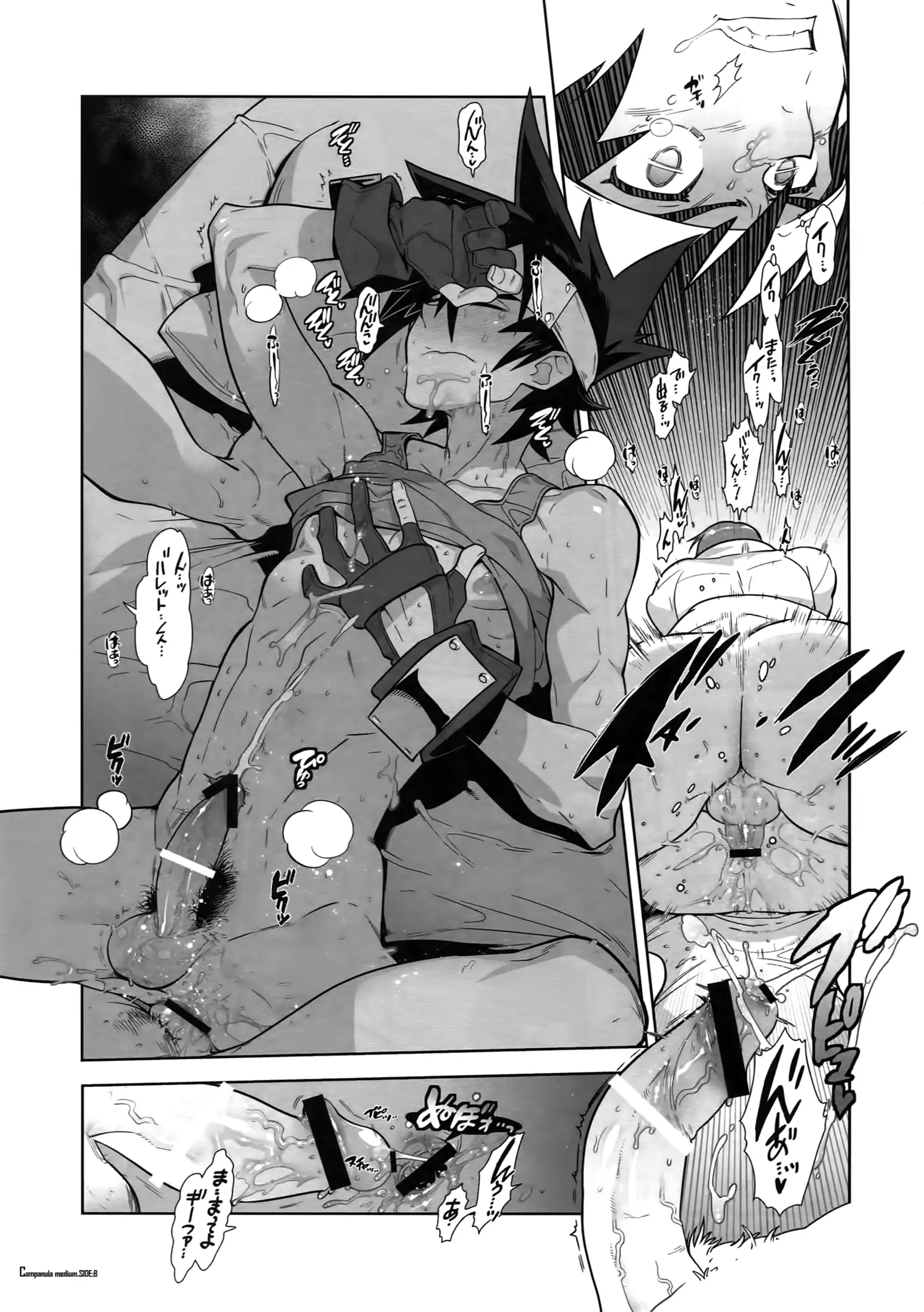 Shinrabanshou Josei-Muke Doujinshi Sairoku-Shuu