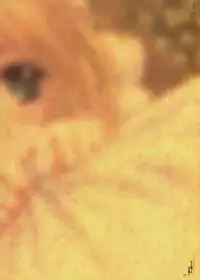 [CARNELIAN] Yami to Boushi to Hon no Tabibito Visual Fanbook