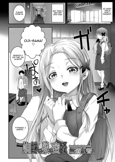 Kumo no Su no Mitsubachi | Bee Trapped in a Spider's Web