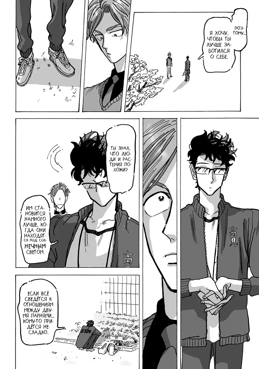 Ringo, Ki kara Ochiru