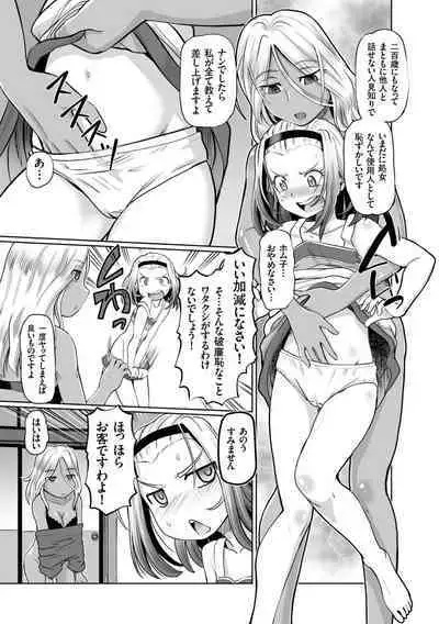 Ginjoku Quest. Otome Zenryoku Koubi Senki