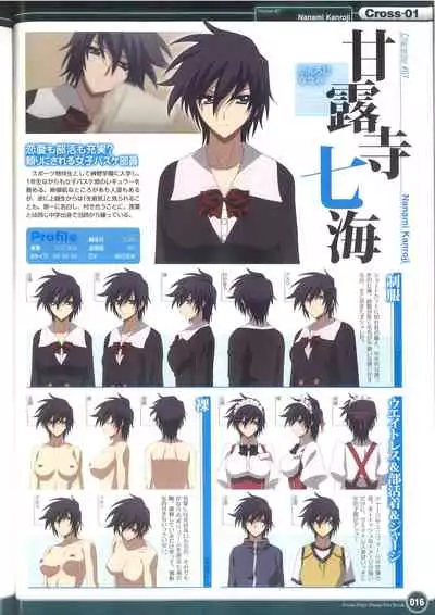 Cross Days Visual Fan Book