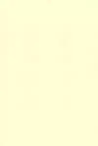 (C61) [Bikkuri Gyouten (Umino Dozaemon)] Crazy Love 2 (Digimon Adventure 02)