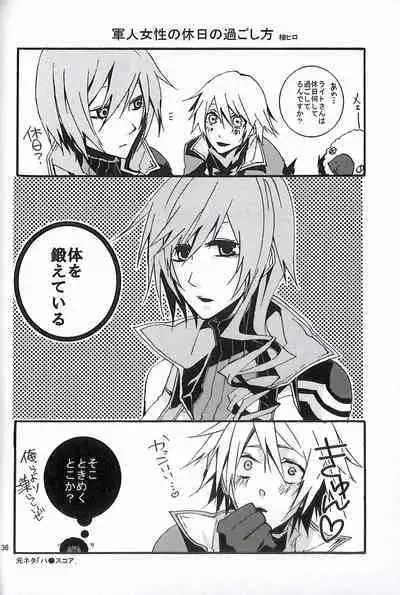 Final Fantasy 13 Fan book (cranberry hearts)