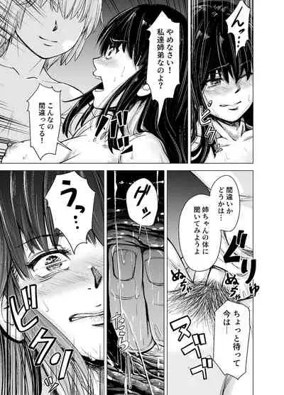 [e9] Mou, Ane to Shite Ninshiki Dekinai.