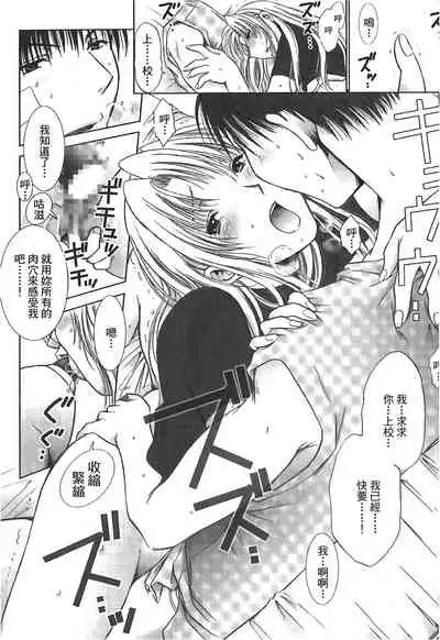 Fullmetal Alchemist 6