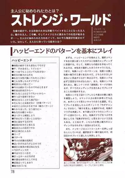 PC Bishoujo Software Strategy Book: Strategy King 2