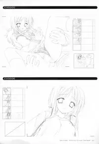 Bra-Ban Visual Fanbook