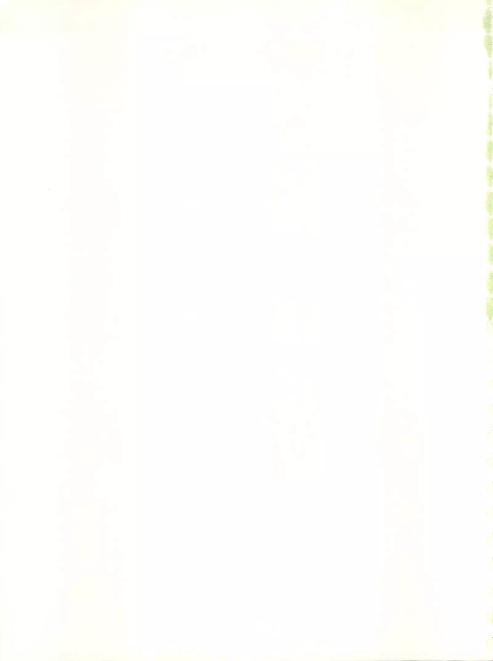 DELICIOUS FIRST STAGE