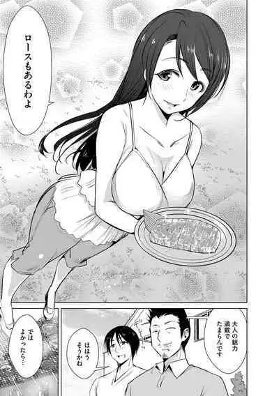 Cyberia Maniacs Hitozuma Juurin Collection Vol.6