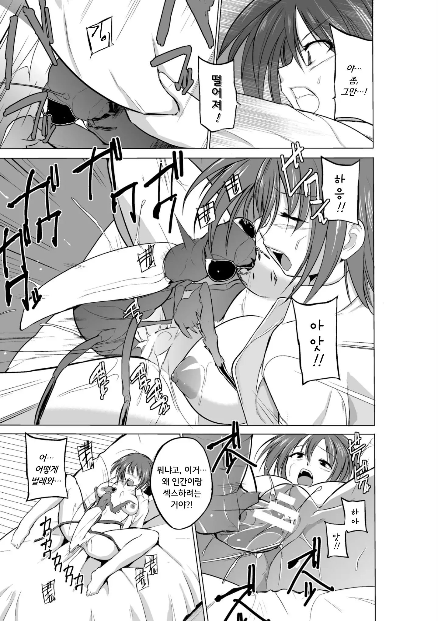 Mushi Asobi | 벌레유희