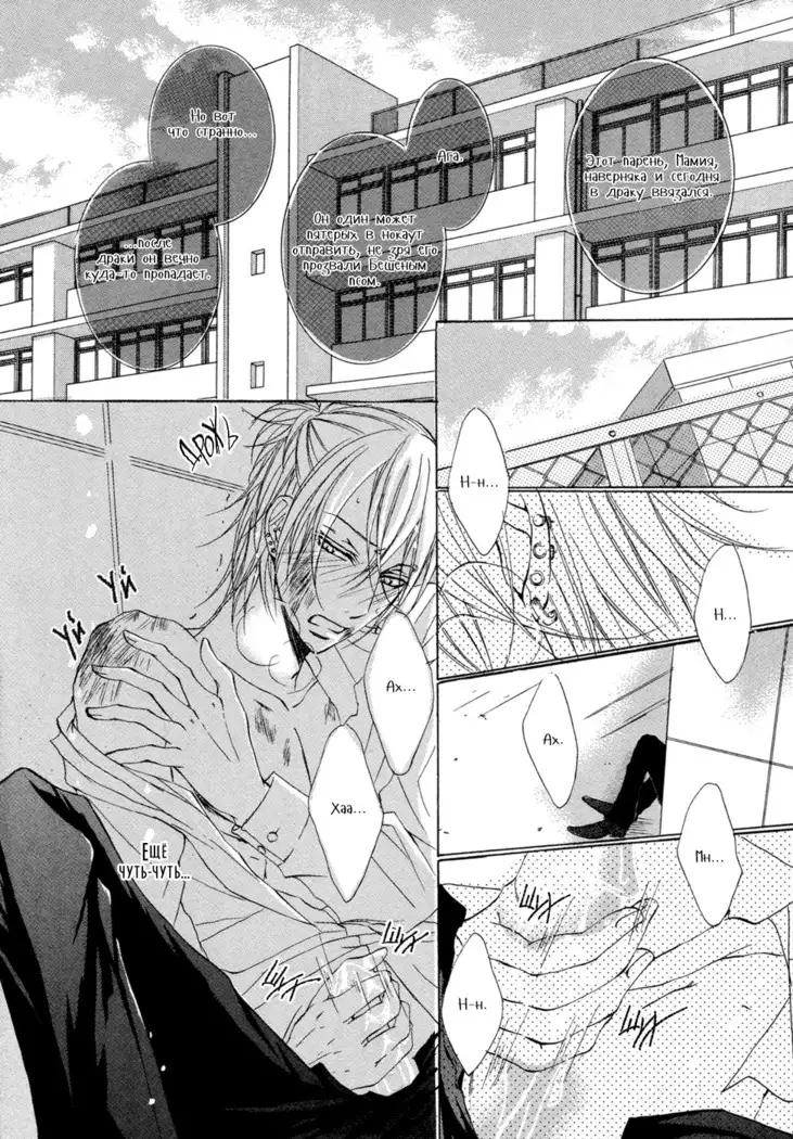 Seiai Reizoku Ecstasy