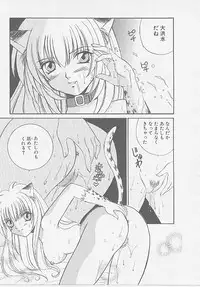 [Makino Kenji] D-CHASE