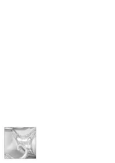 変身美少女大ピンチ、悪堕ち絶頂アンソロジーコミック