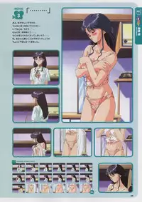 Super Real Mahjong Visual Fan Book Perfect Collection