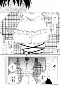 COMIC Potpourri Club 2005-08