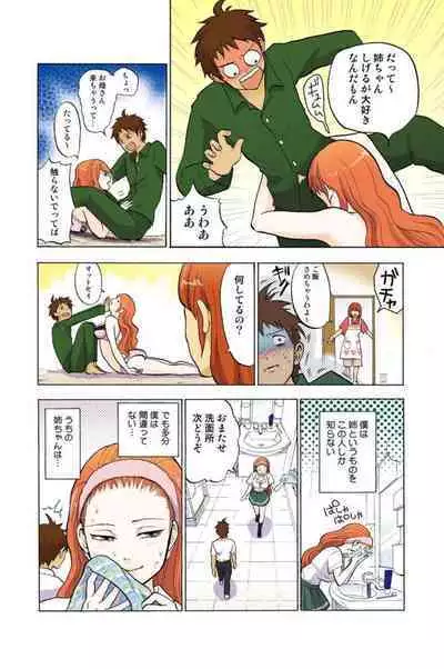 Onēchan ga wakan nai! 1