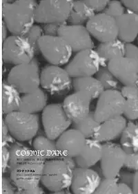 (Reitaisai 5) [54burger (Marugoshi)] COSMIC DARE (Touhou Project)