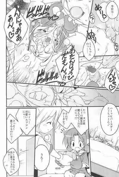 MIRACLE SWEET DREAM 2