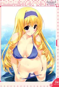 (C85) [GRAPEFRUIT (Shintarou)] Favorites 2013 (Infinite Stratos)