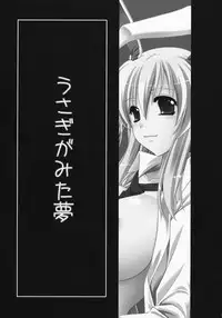 (C75) [Himeya (Abe Inori)] Usagi ga Mita Yume (Touhou Project)