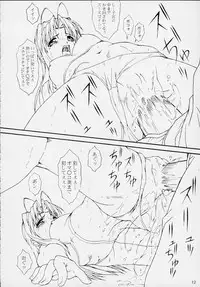 (CR28) [AKKAN-Bi PROJECT (Yanagi Hirohiko)] PA (Love Hina)