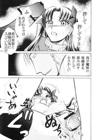 (C70) [STUDIO SKB (Ayasaka Mitsune)] Tooi Koe (Fate/stay night)