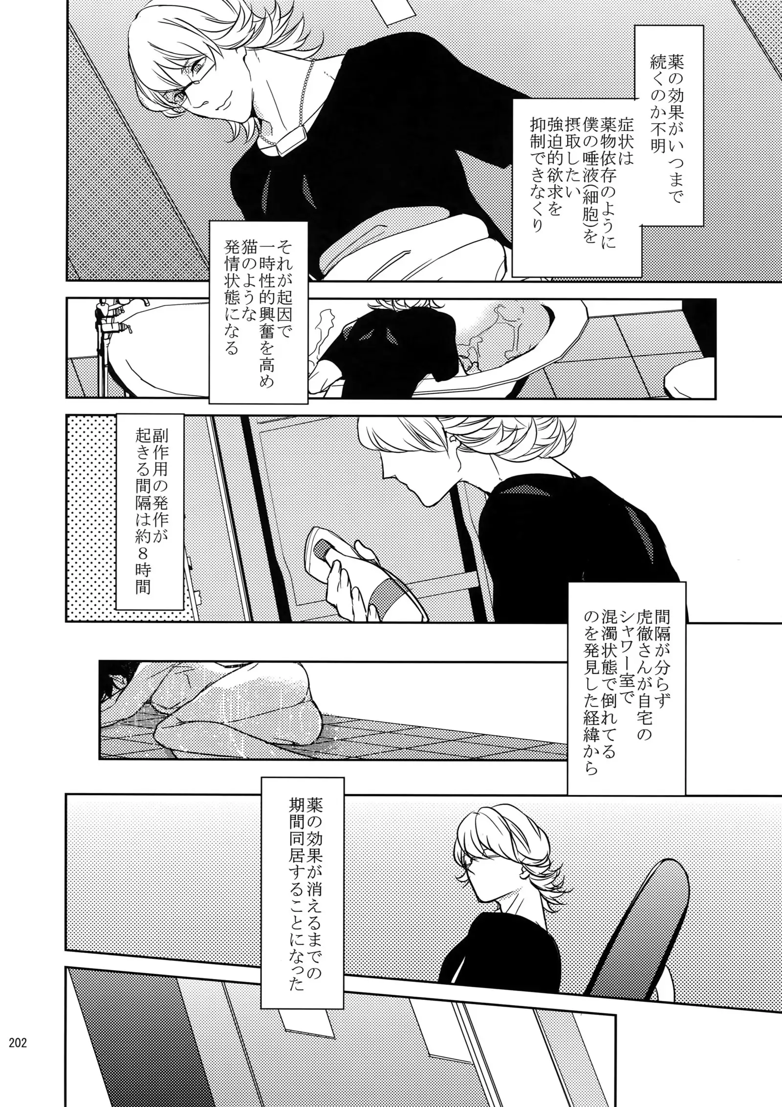 BOROZS Usagi Tora Sairoku