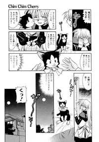 [Takuto] Chim Chim Cherry
