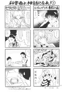 [Eva Plus Seisaku Iinkai (Various)] Eva-Plus C (Neon Genesis Evangelion)